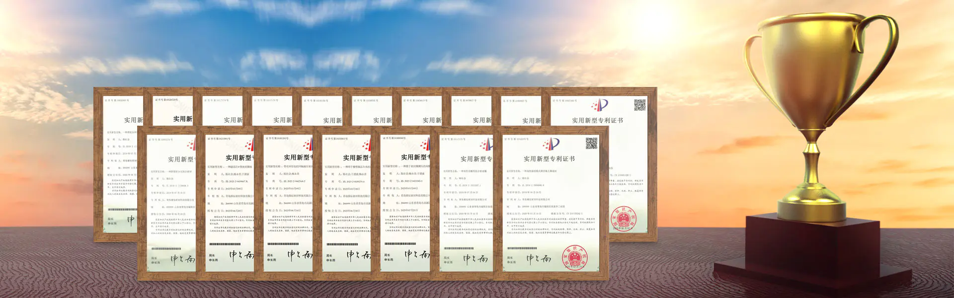 যোগ্যতা এবং সম্মান