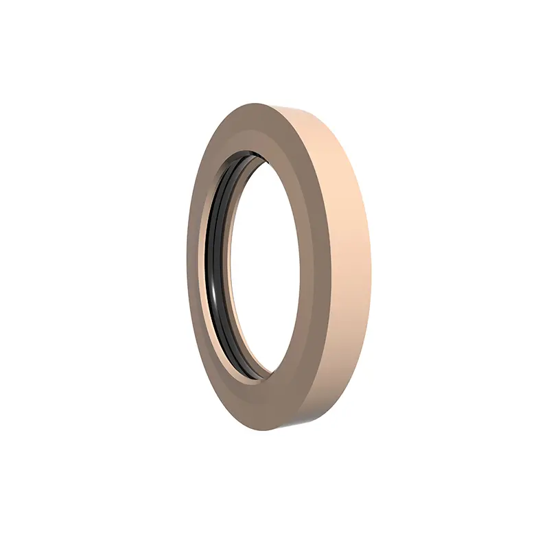 High Pressure End Flange Seals High Pressure End Flange Seals